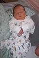 Picture 13