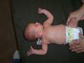 Picture 11