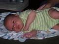 Picture 36